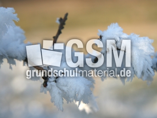 Winterimpressionen 046.jpg